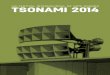 Tsonami2014 programa issu