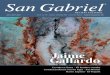 Revista Cultural San Gabriel Ed. 48