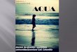 Revista digital  AQUA de Ana Gomez