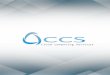 CSS CLOUD COMPUTING SERVICES