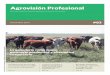 Agrovisión Profesional #83 - Noviembre 2014