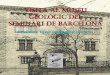 Sortida del GMC al Museu Geològic del Seminari de Barcelona