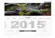 Calendario Cristiano Presencia 2015  de lunes a domingo