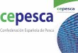 Presentación española Cepesca febrero 2015