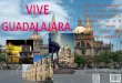 Vive Guadalajara