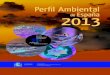 Perfil ambiental 2013