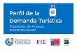 Perfil de la demanda 2014 Provincia de Arauco