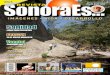 Revista SonoraEs... 87- jun2011