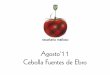 Agosto'11 Cebolla de Fuentes de Ebro
