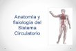Presentacion Sistema Circulatorio