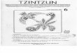 Tzintzun 06