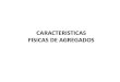 CLASE 4 - CARACTERISTICAS DE LOS AGREGADOS.pdf
