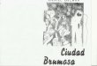 Ciudad Brumosa