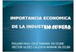 Importancia Economica de La Industria Minera