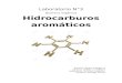 Hidrocarburos Aromáticos.docx
