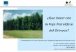 Qué Hacer Con La Faja Petrolífera del Orinoco - Francisco J. Larrañaga - Foro Petrolero PLC 26-11-15