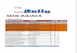 Rally Juliaca2015x
