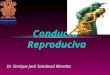 Conducta Reproductiva
