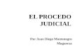 El Proceso Judicial