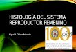 Histología  aparato reproductor femenino, generalidades