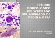 Estudio Morfologico Del Aspirado Del Aspirado de Medula y Biopsia
