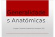 Clase 01 Generalidades Anatomicas