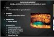 Diapositivas Accion Geologica Aguas Subterraneas