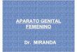 Anatomia del aparato genital femenino.ppt