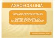 Los Agroecosistemas Como Sistemas Modelos en La Ecologia (6)