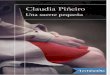 Una Suerte Pequena - Claudia Pineiro