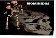Revista Investigacion Y Ciencia - Temas 44 - Hominidos