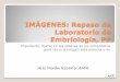 (3) Imagenes Repaso PP Embriologia