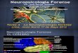 Diapositivas Neuropsicologia Forense Diapositivas