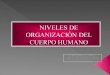 Niveles de Organización Del Cuerpo Humano1