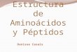 Estructura de Aminoácidos y Péptidos.pptx