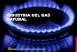 Docslide.us Industria Del Gas Natural