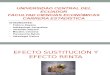 Exposicion Micro Sustitución y Renta (3)