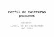Perfil de twitteros peruanos.pptx