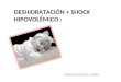 DESHIDRATACIÓN + SHOCK HIPOVOLÉMICO