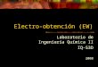 Electro Obtencion (EW)