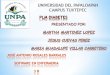 Universidad Del Papaloapan (Diapositivas de software PLM)