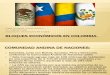 Bloques Económicos en Colombia Diego Armando