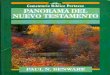 Paul N. Benware - Panorama Del Nuevo Testamento x Imagen97