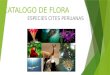 Catalogo de Flora