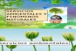SERVICIOS AMBIENTALES Y FENÓMENOS NATURALES.pptx