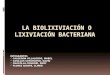 Lixiviacion Bacteriana Expo