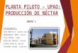 Planta Piloto - Produccion de néctar.pptx