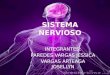 Sistema Nervioso - Embriologia