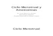 Ginecología - 08 - Ciclo Menstrual y Amenorreas [Modificado]