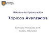 4 TopicosAvanzados 03 201502